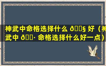 神武中命格选择什么 🐧 好（神武中 🕷 命格选择什么好一点）